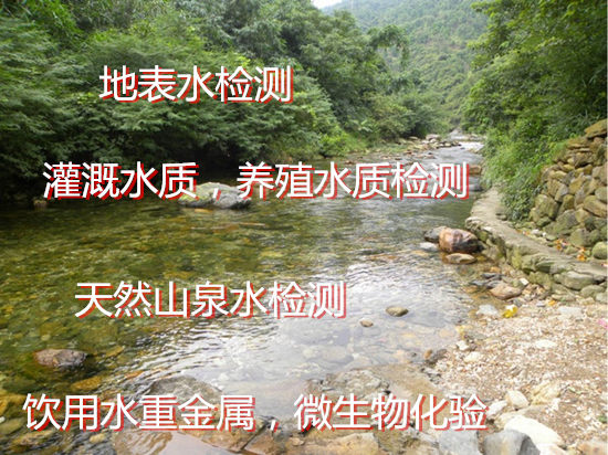 肇庆鼎湖天然山泉水化验 水质重金属检验中心