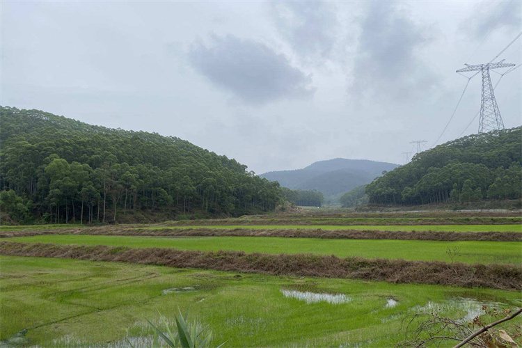 种植土壤检测