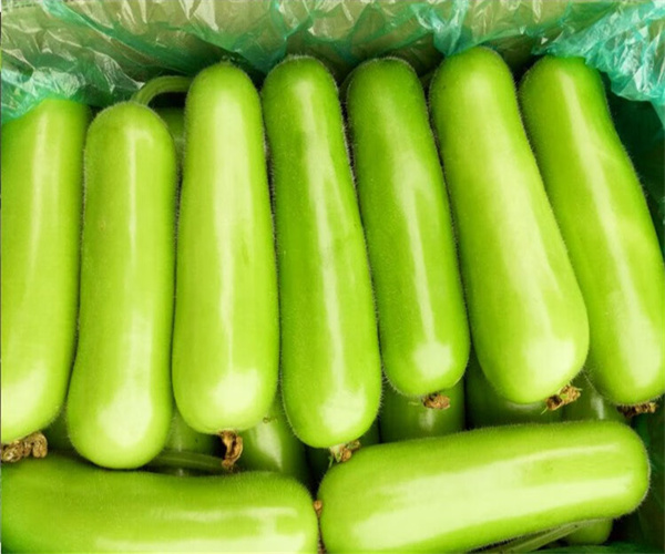 瓜类蔬菜农药残留检测 瓜类蔬菜膳食纤维检测