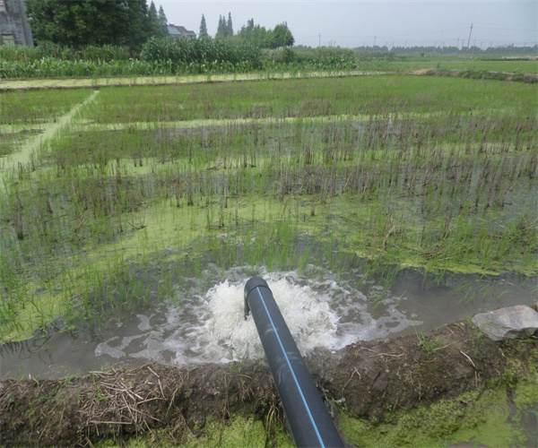 灌溉水质微量元素检测 灌溉水质重金属指标化验