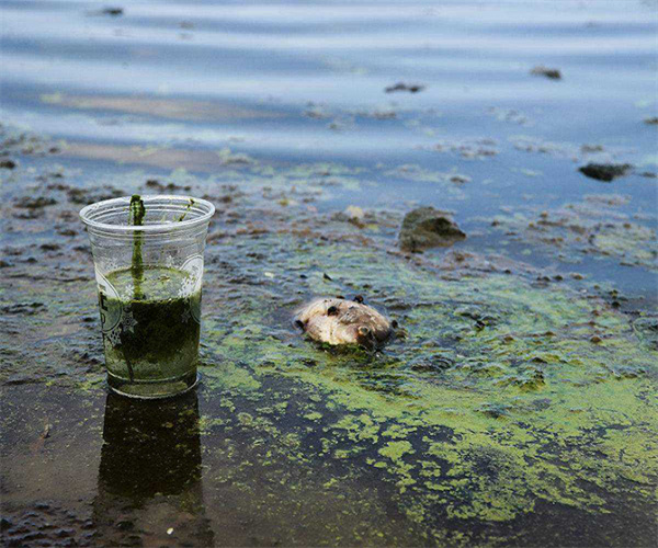 工业废水磷酸盐检测 工业废水石油类检测